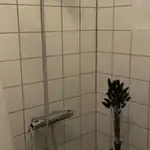 Et billede fra boligen