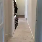Et billede fra boligen