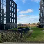 Et billede fra boligen