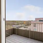 Et billede fra boligen