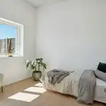 Et billede fra boligen