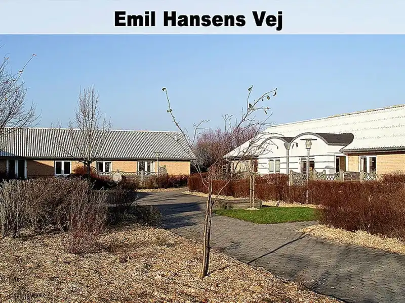 Billede af 3v. på 86, Brovst