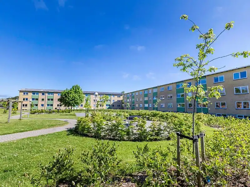 Billede af 5v. på 105, Holstebro