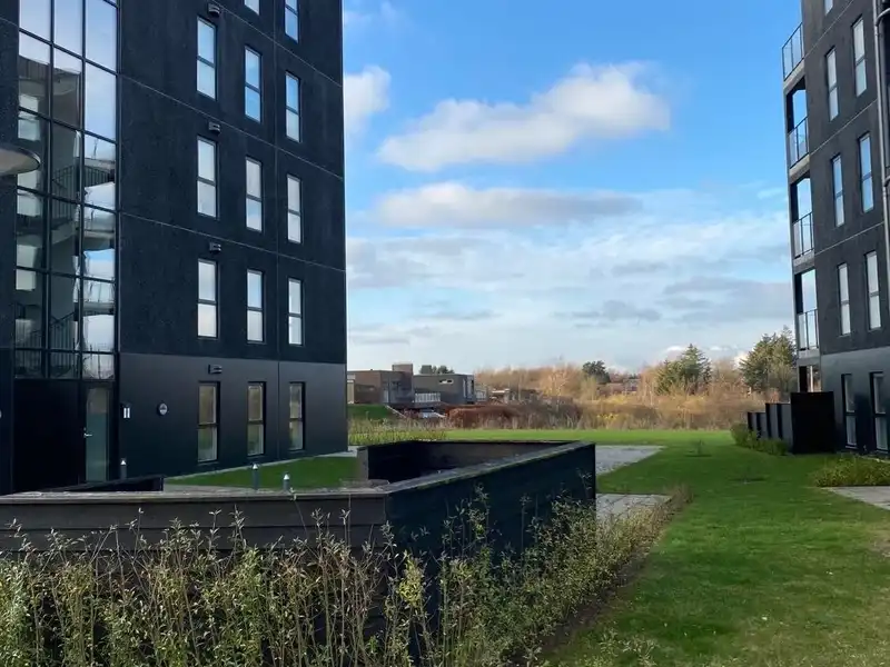 Billede af 3v. på 76, Hjørring