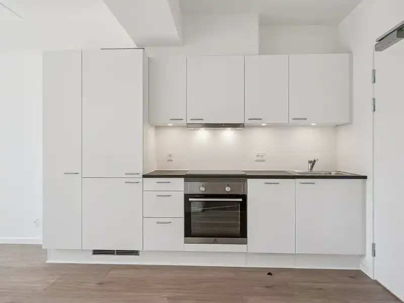 Billede af 2v. på 48, Tilst