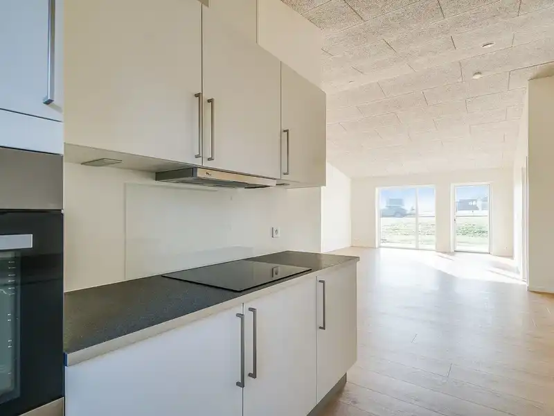 Billede af 3v. på 95, Silkeborg