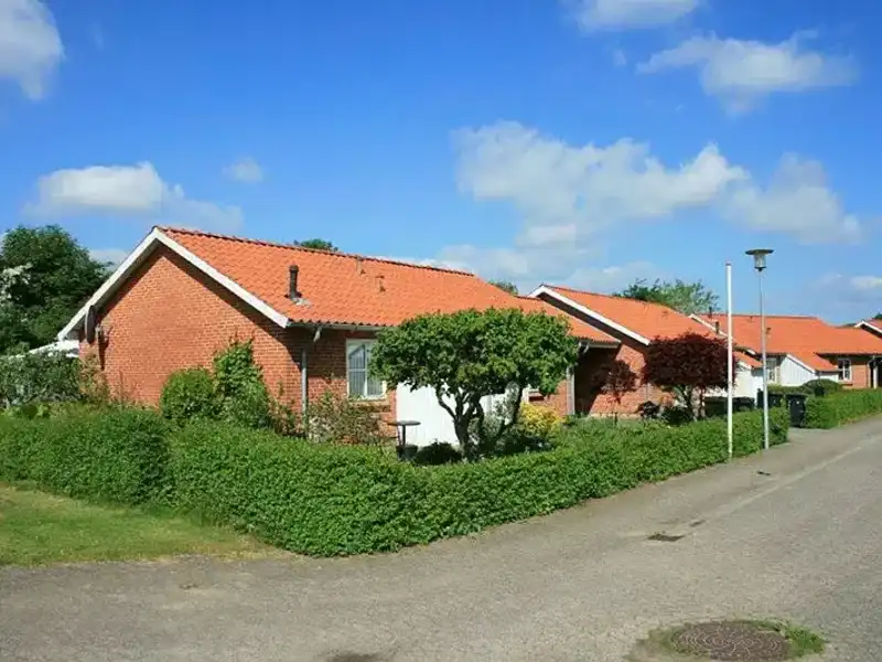 Billede af 3v. på 81, Karup J