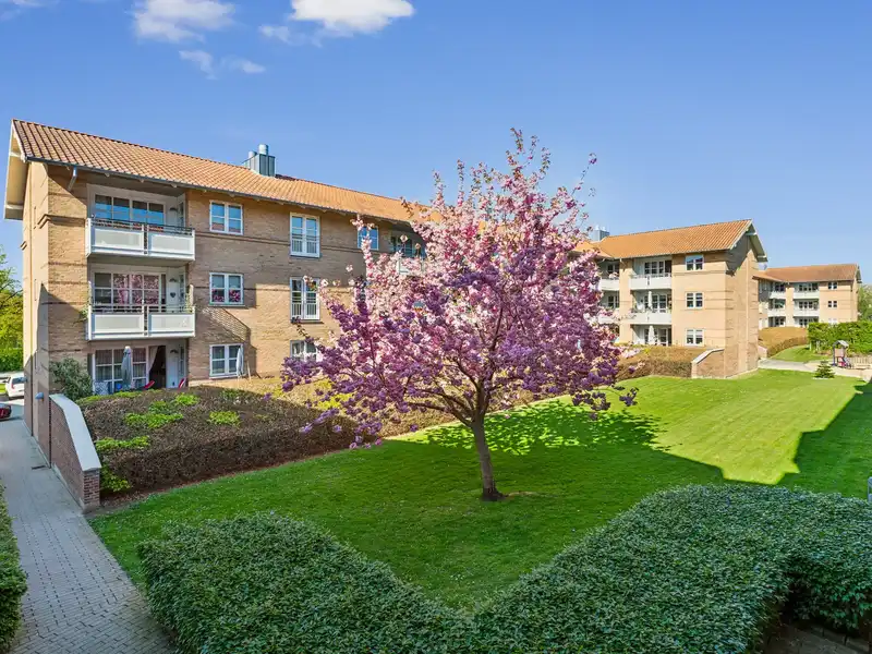 Billede af 3v. på 89, Farum