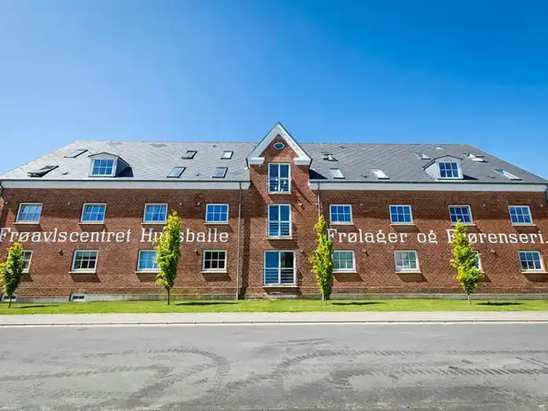 Billede af 3v. på 86, Holstebro