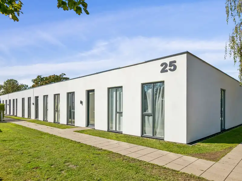 Billede af 3v. på 65, Greve