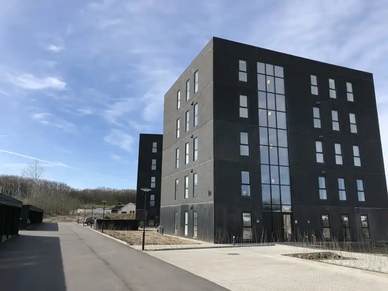 Billede af 3v. på 77, Hjørring