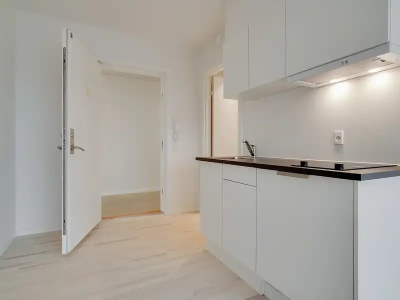 Billede af 1v. på 33, Valby