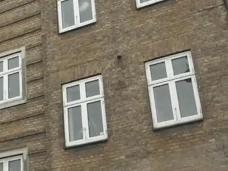 Billede af 3v. på 70, Amager