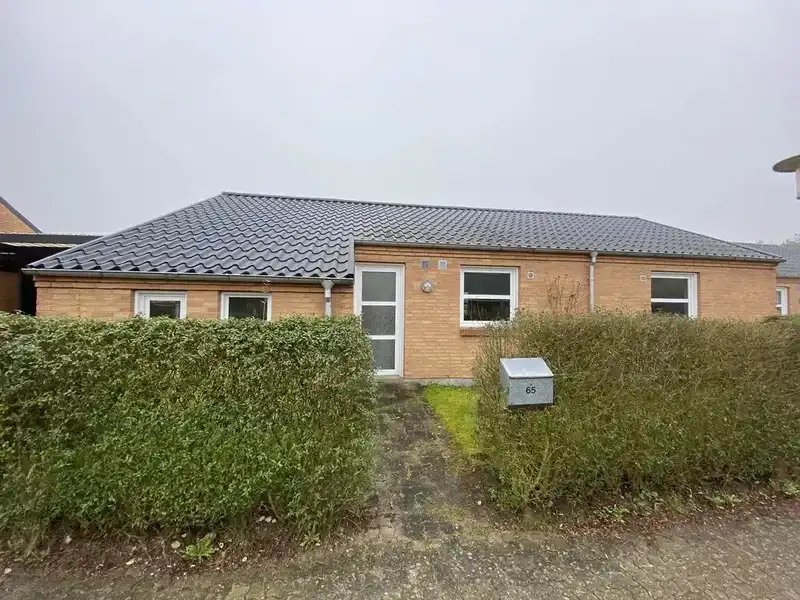 Billede af 3v. på 80, Middelfart