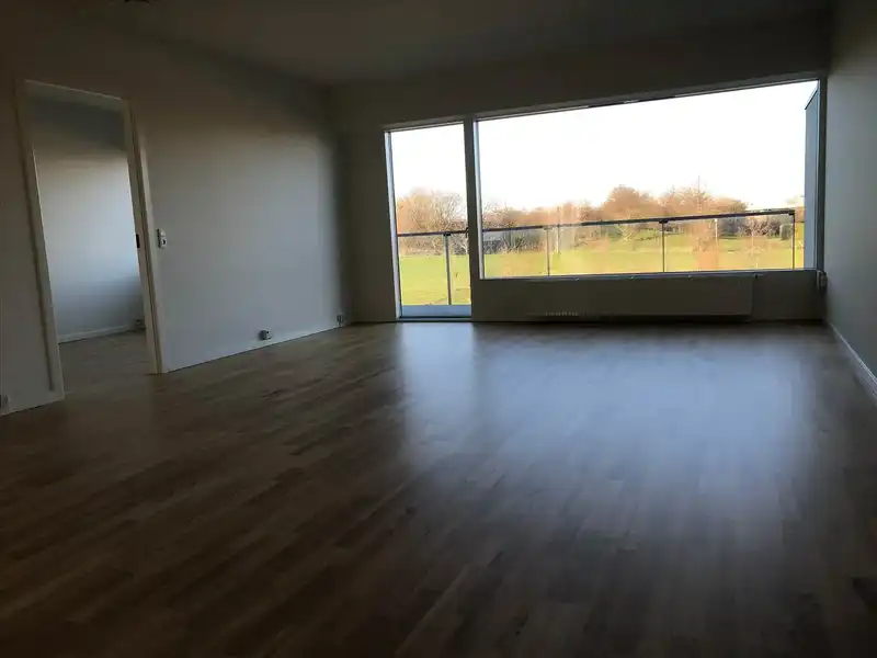 Billede af 3v. på 95, Greve