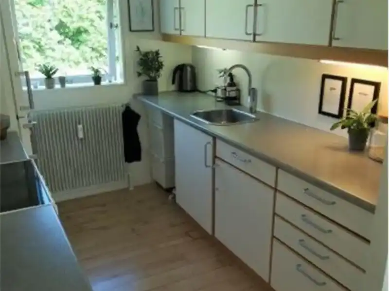 Billede af 2v. på 50, Roskilde